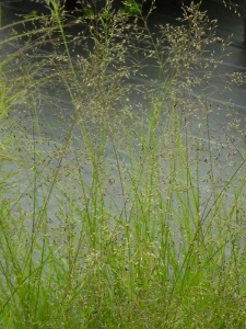 140965 SPOHET00 12