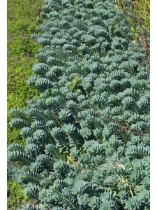 210422 EUPMYR00 13