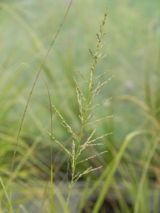 56210 SPOWRI00 11