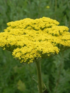 ACHFIL01 14