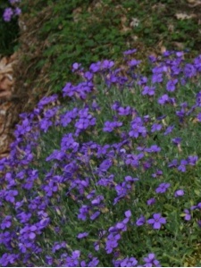 AUBDEL07 11