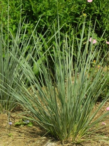 HELSEM00 15