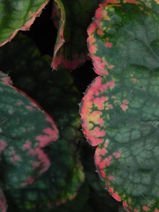 HEUHYB04 14