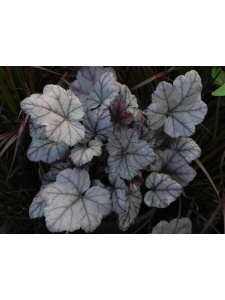 HEUHYB40 12