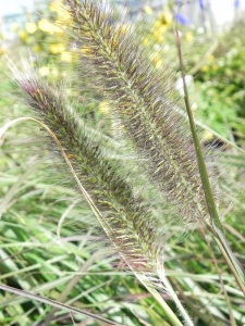 PENALO01 16