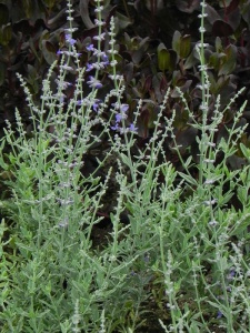 PERATR03 11