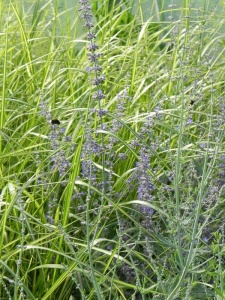 PERATR04 13