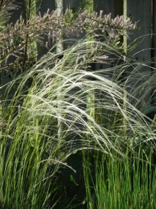 STIJOA00 15
